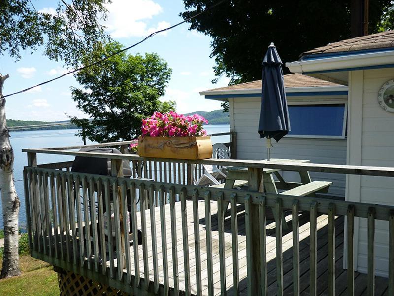 Silver Springs Cottage Resort Harcourt Exterior photo