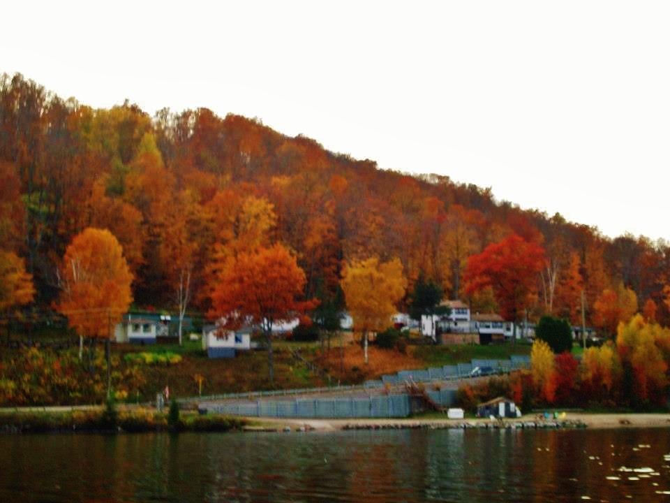Silver Springs Cottage Resort Harcourt Exterior photo